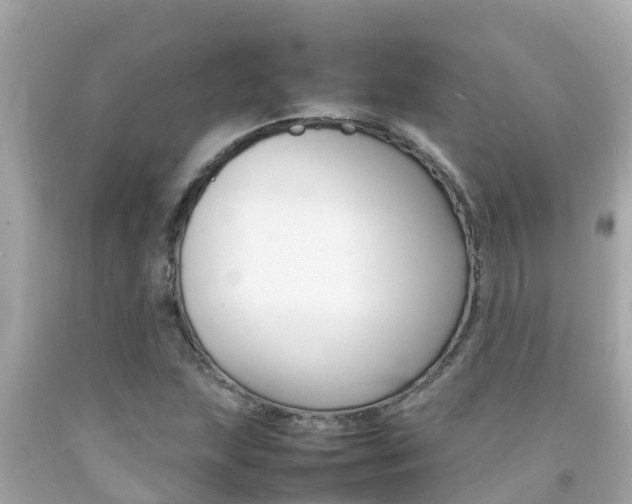 X0000092051215200709121018