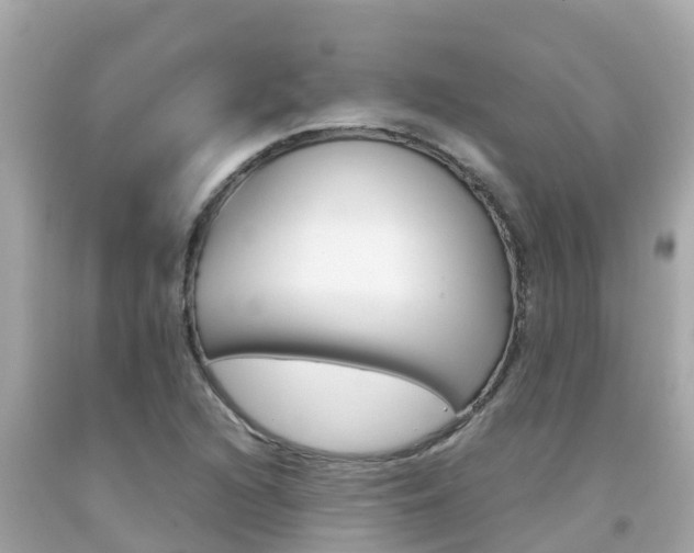 X0000092051216200709121018