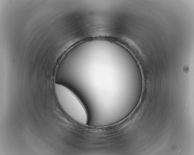 X0000092051217200709121018