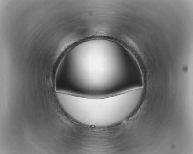 X0000092051218200709121018