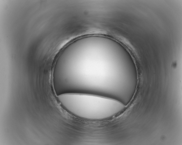 X0000092051220200709121018