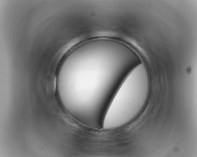 X0000092051221200709121018