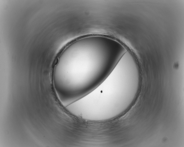 X0000092051222200709121018