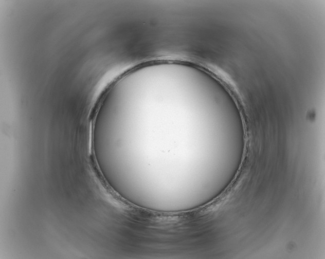 X0000092051223200709121018