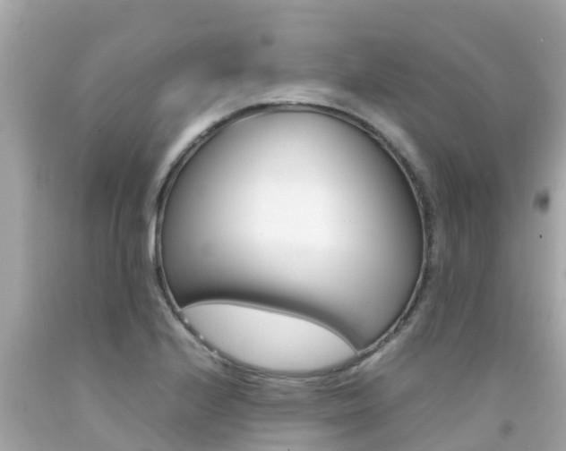 X0000092051224200709121018