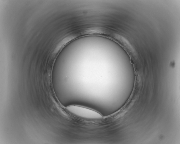X0000092051225200709121018