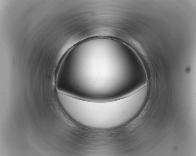 X0000092051226200709121018