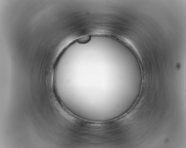X0000092051227200709121018