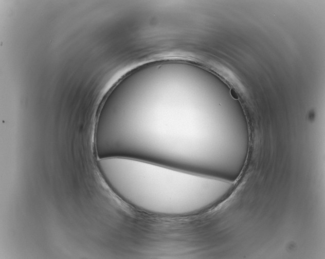 X0000092051228200709121018
