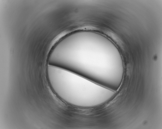 X0000092051229200709121018
