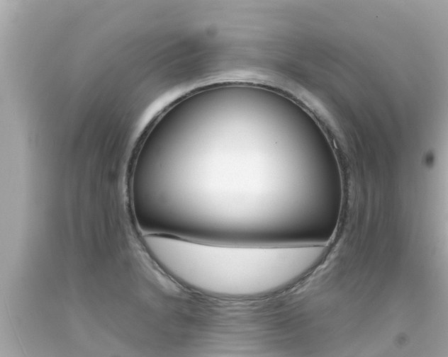 X0000092051230200709121018