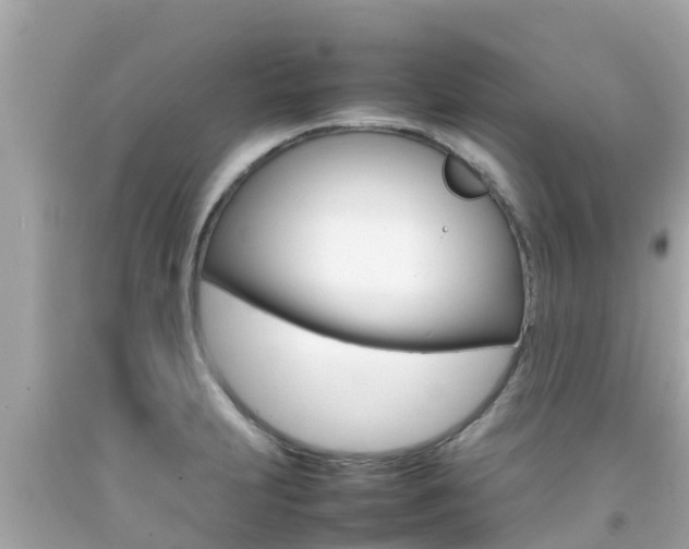 X0000092051231200709121018