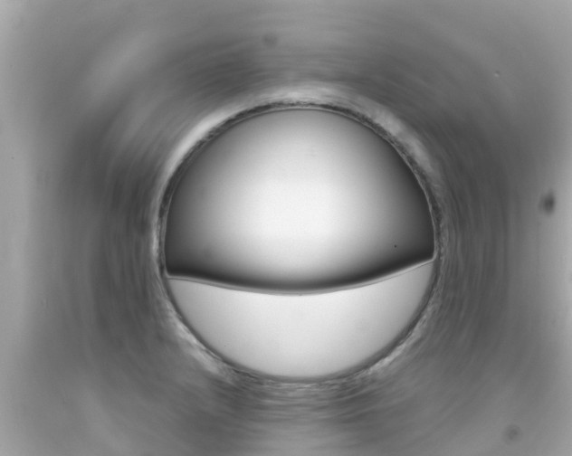 X0000092051232200709121018
