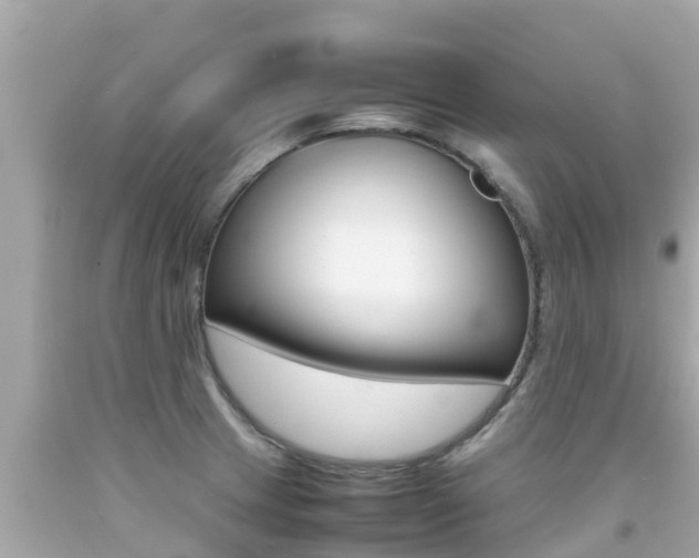 X0000092051233200709121018