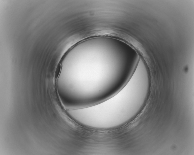 X0000092051234200709121018