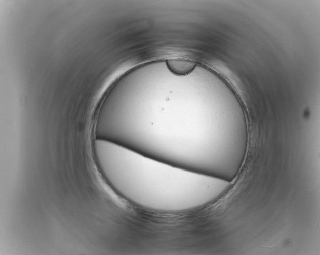 X0000092051235200709121018