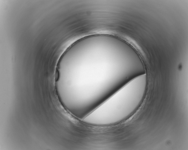 X0000092051236200709121018