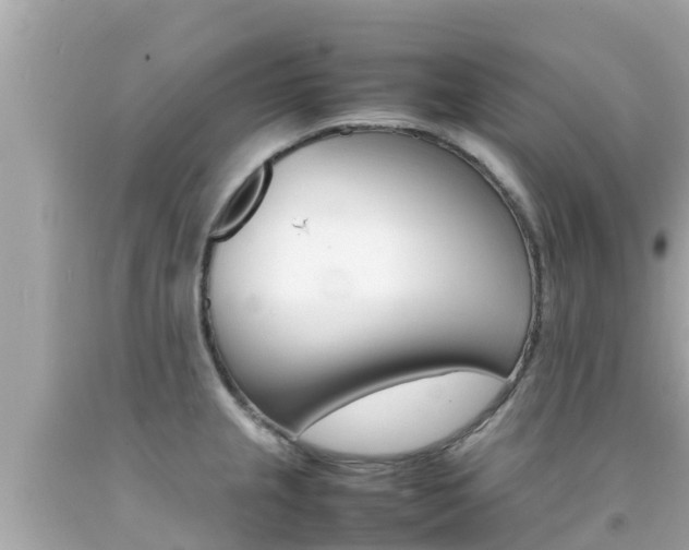 X0000092051237200709121018