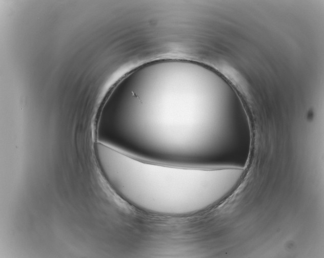 X0000092051238200709121018