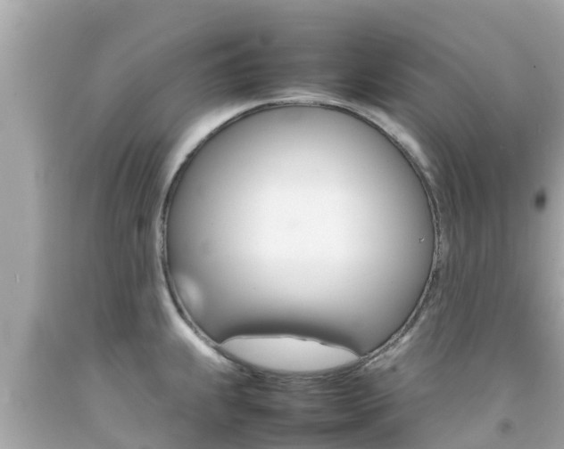 X0000092051239200709121018