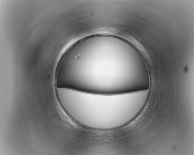X0000092051240200709121018