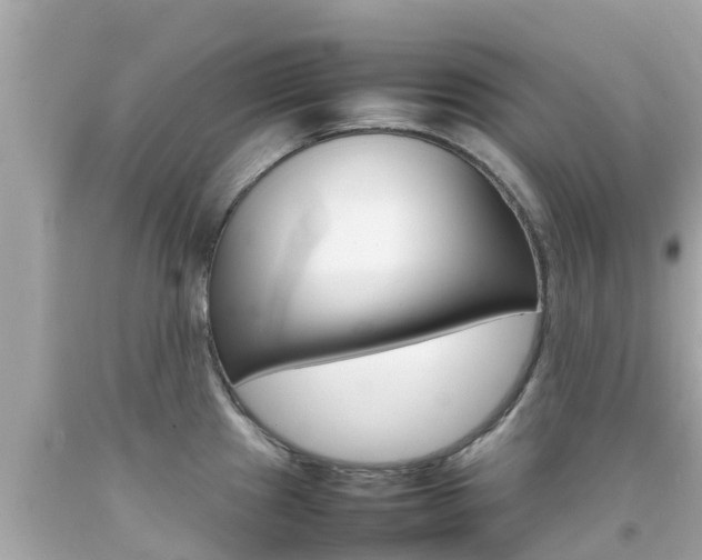 X0000092051241200709121018