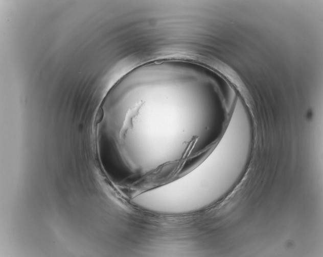 X0000092051242200709121018