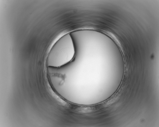 X0000092051243200709121018