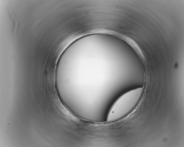 X0000092051244200709121018