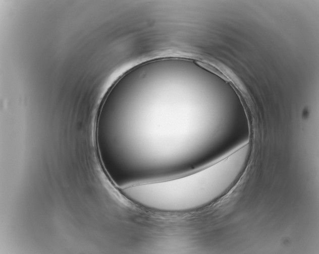 X0000092051246200709121018