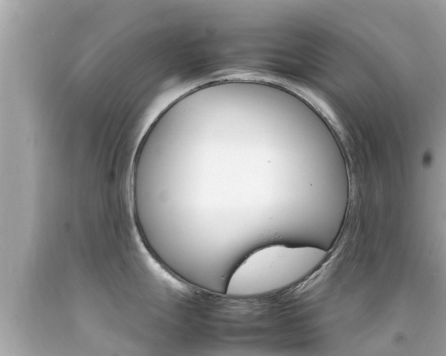 X0000092051247200709121019
