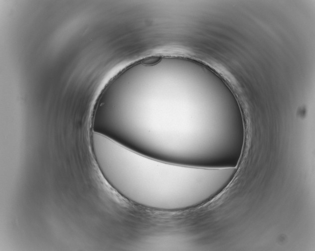 X0000092051248200709121019