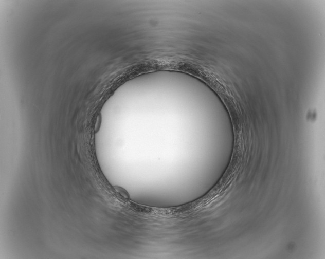 X0000092051249200709121018