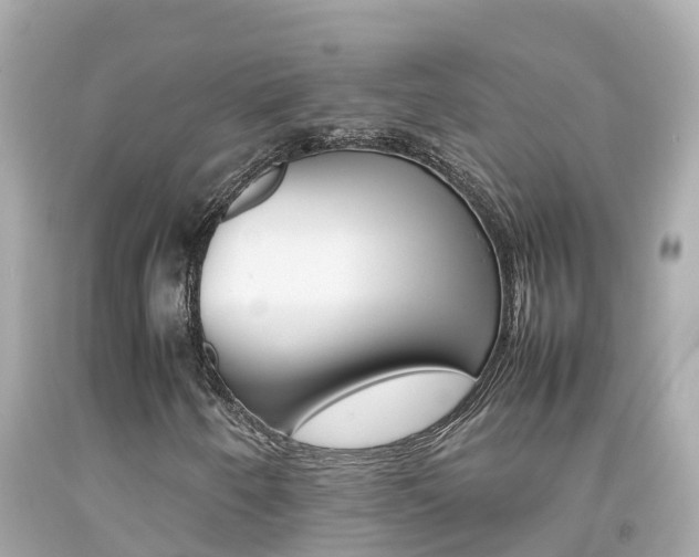 X0000092051250200709121018