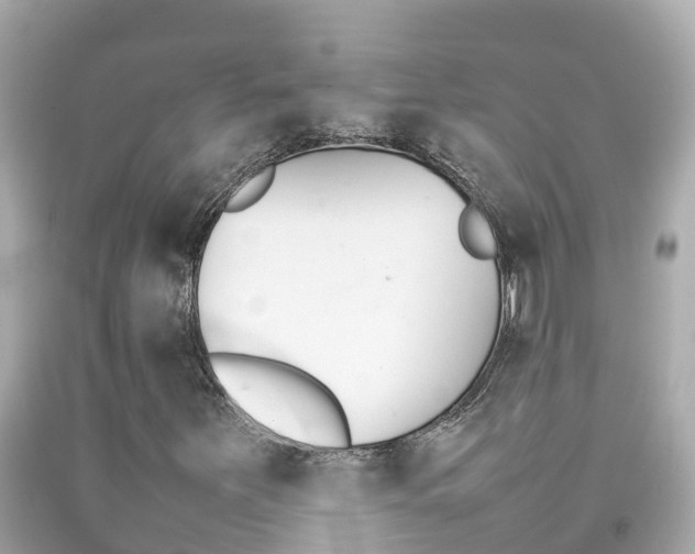 X0000092051251200709121018