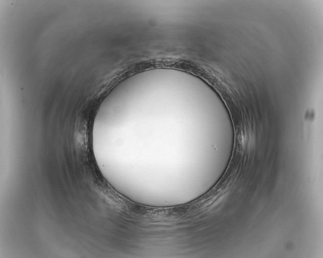 X0000092051252200709121018