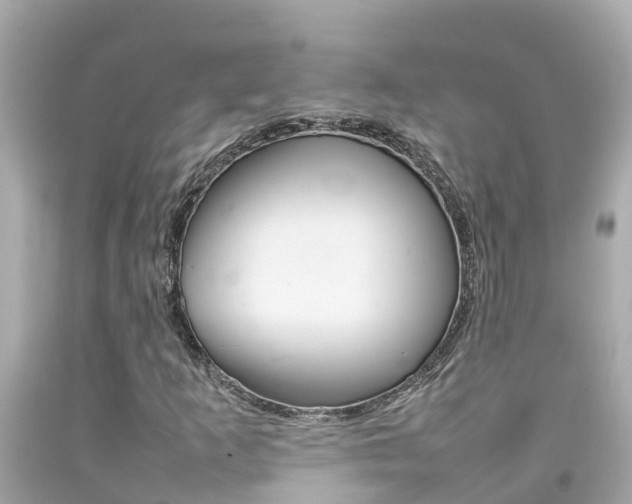 X0000092051253200709121018