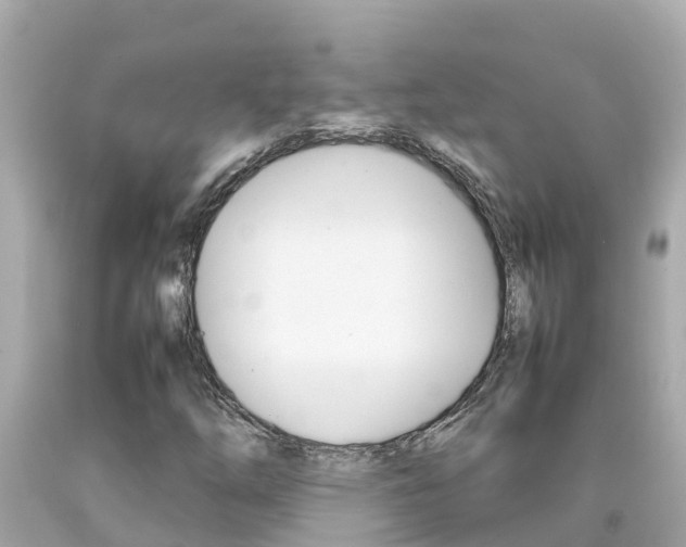 X0000092051254200709121018
