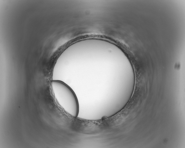 X0000092051255200709121018