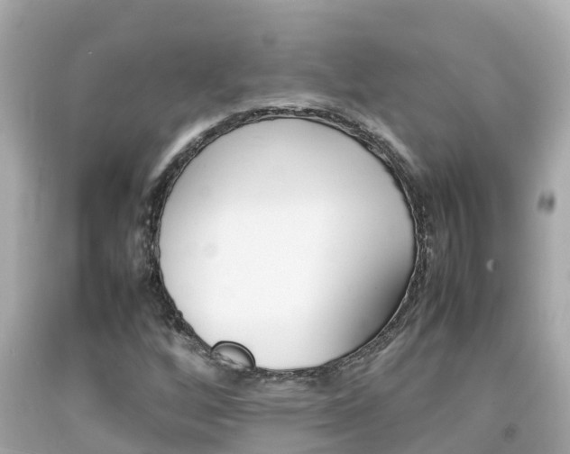 X0000092051256200709121018