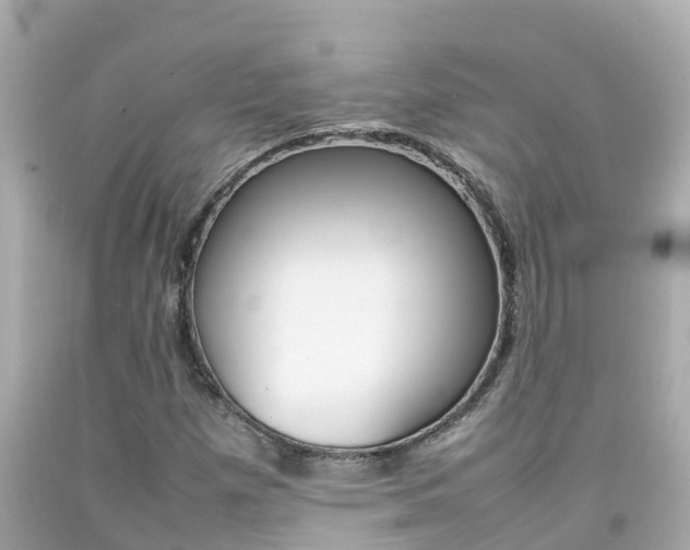 X0000092051257200709121018
