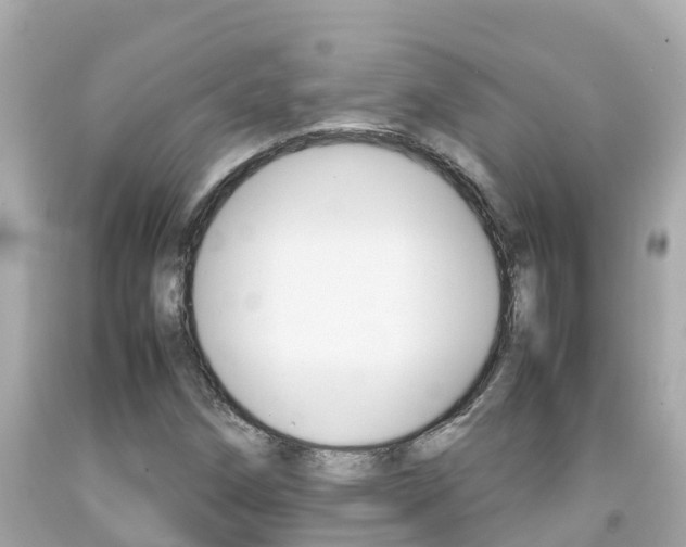 X0000092051258200709121018