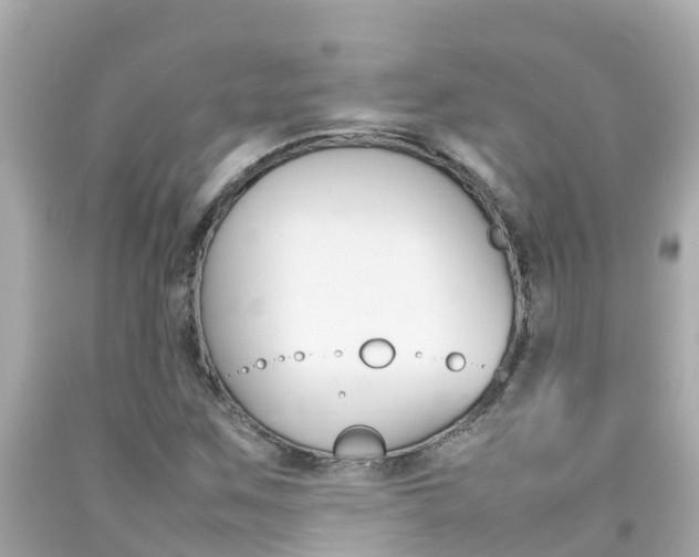 X0000092051259200709121018