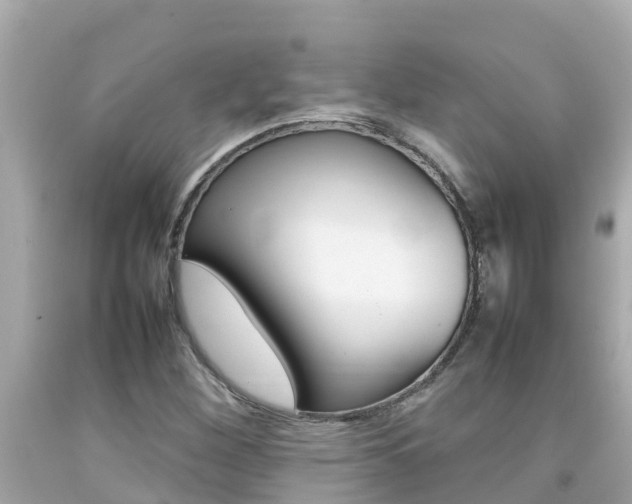 X0000092051260200709121018