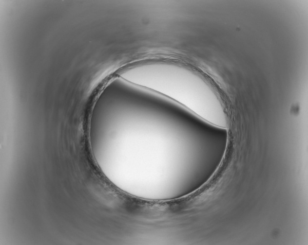 X0000092051261200709121018