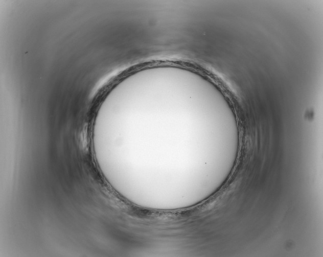 X0000092051262200709121018
