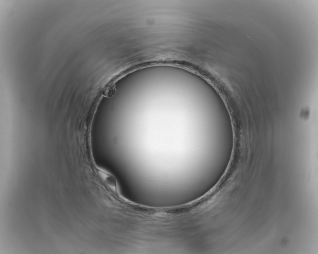 X0000092051265200709121018