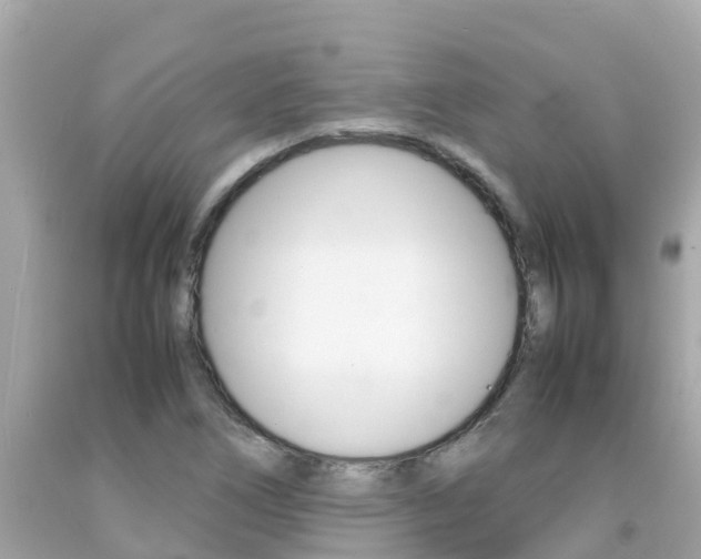 X0000092051266200709121018
