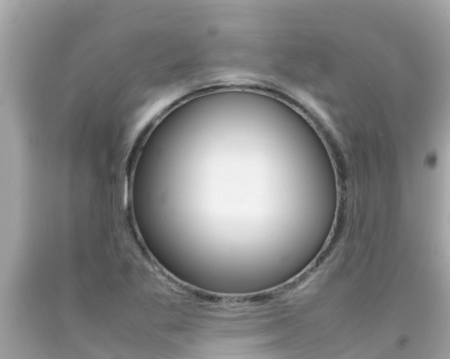 X0000092051269200709121018