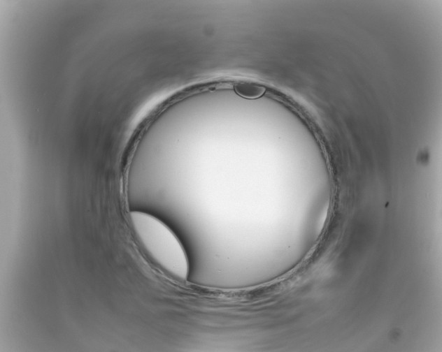X0000092051271200709121018